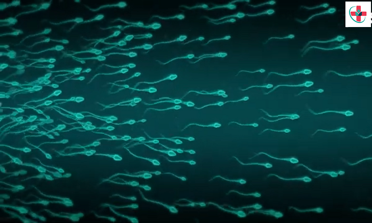 Semen-Its Importance And How To Increase Semen Volume