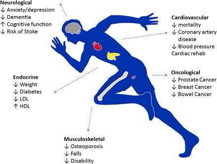 Why you should make physical activity a regular part of your routine